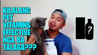 PAANO PATABAIN ANG PUSA