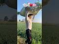 Punjab