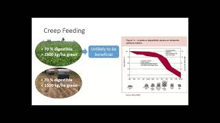 Maximising lamb growth – pre and post weaning