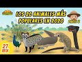 Los 20 Animales Más Populares En 2020 [Parte 3/4] (Español) - Leo, El Explorador Episodio