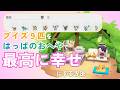 【ぽこあポケモン】イーブイ達のすみごごちを最高に!家具アイテム紹介+すみごごちの上げ方