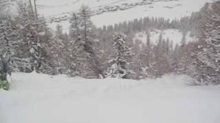 Stanton Papa Pingu Club 09