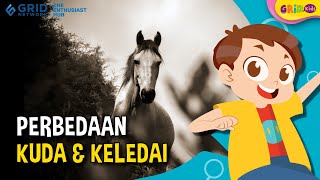 Perbedaan Hewan Kuda dan Keledai, Salah Satunya Beda Perilaku Sosial - Fakta Menarik