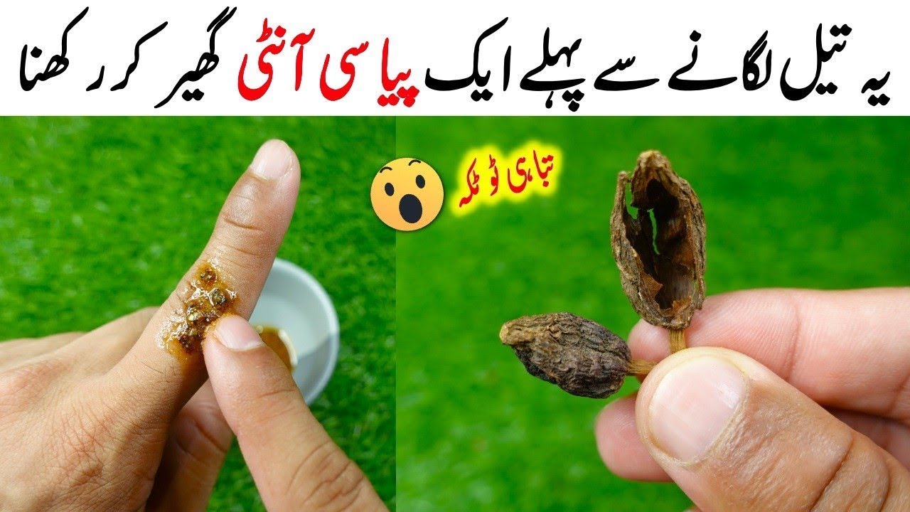 Black Cardamom + Mace + Cooking Oil Recipe By Mrdesi So Tasty and