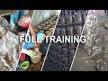 Mushroom Cultivation Training