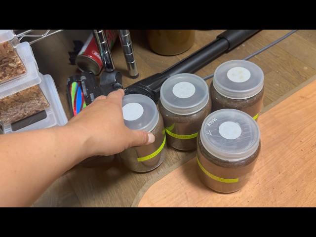 A stag beetle enthusiast's story that you can only hear here