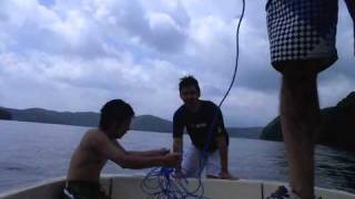 2010/8/21/hikohtai