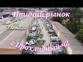 Голуби цены Птичий рынок г Прохладный-ч2