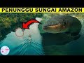 Bersembunyi Di Sungai Amazon! Inilah Hewan Buas yang Mengerikan Mendiami Sungai Amazon.