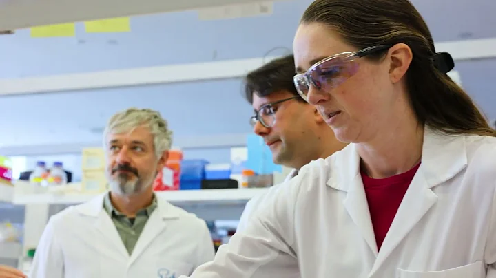 Harry Perkins team develop WORLD-FIRST map of gene...