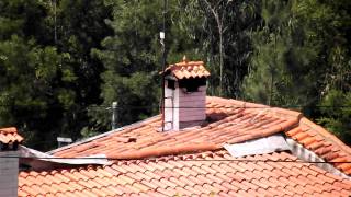 Fujifilm FinePix S3200 - Teste Zoom (24x)