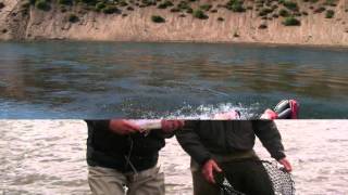 Alagnak River Alaska 2011