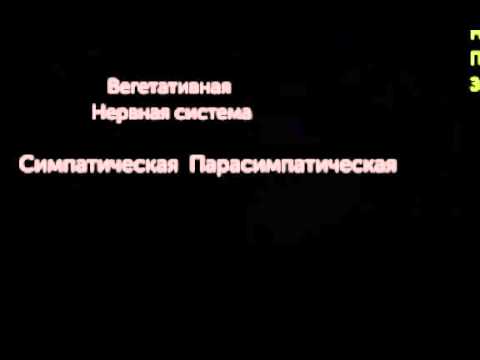 Видео: Разлика между вазоконстрикция и вазодилатация