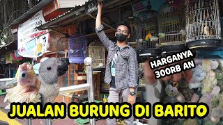 COBA JUALAN DAN LOLOH PULUHAN BURUNG DI PASAR BARITO | AMPUUUN TERNYATA SUSAH GUYS