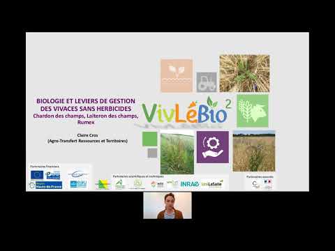 Webinaire sur la biologie et les leviers de gestion sans herbicides du chardon, rumex et du laiteron