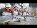 Interesting! Best Taiwanese Fish Cutting Processing Plant (Salmon, Eel, Halibut, Mackerel)