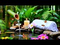 Relaxing Music for Relieving Anxiety and Stress 🌿 Sleeping Music, Healing Insomnia, Meditation Music