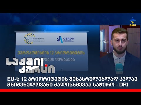 EU-ს 12 პრიორიტეტის შესასრულებლად კვლავ მნიშვნელოვანი ძალისხმევაა საჭირო - DRI