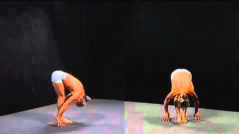 Spinal movements sequence Demonstration, by Simon Borg-Olivier