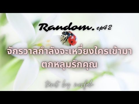 วีดีโอ: 5 สัญญาณว่าคุณ (และสัตว์เลี้ยงของคุณ) มีหมัดแต่ไม่รู้ตัว