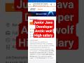 JUNIOR JAVA DEVELOPER ARCTIC WOLF Java Spring Developers 2026