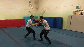Developing Your Kung Fu Skills Vid 2-3 Praying Mantis Sifu Bryan Barnes