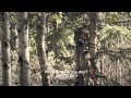 Raised hunting season 1 episode 4 redemption 12 year old harvests color phased bear