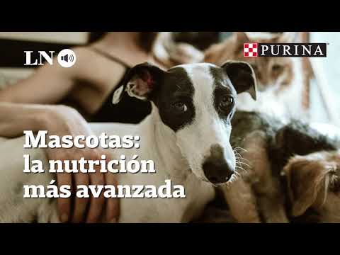 Video: Diferentes Perros Necesitan Diferentes Fibras Nutricionales