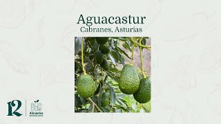 Aguacastur | Cabrabes, Asturias