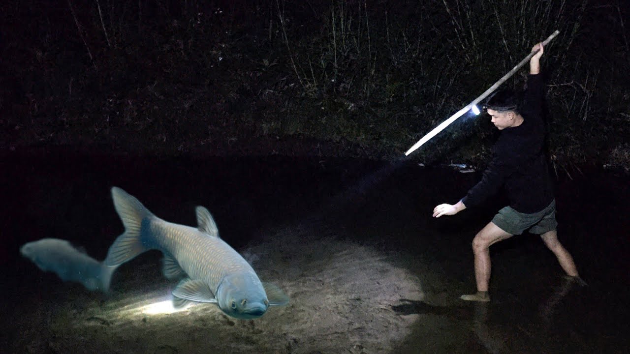 As night fell, Linh took her flashlight to the stream to catch fresh fish to cook a delicious meal.