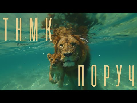 ТНМК Поруч Official Ai Video