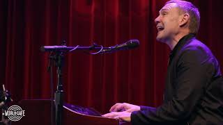 David Gray - &quot;The Sapling&quot; (Recorded Live for World Cafe)