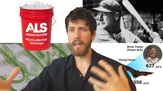 ALS/Lou Gehrig's Disease Cause and Cure?