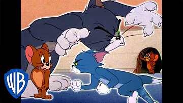 Wie heißt die kleine graue Maus bei Tom und Jerry?