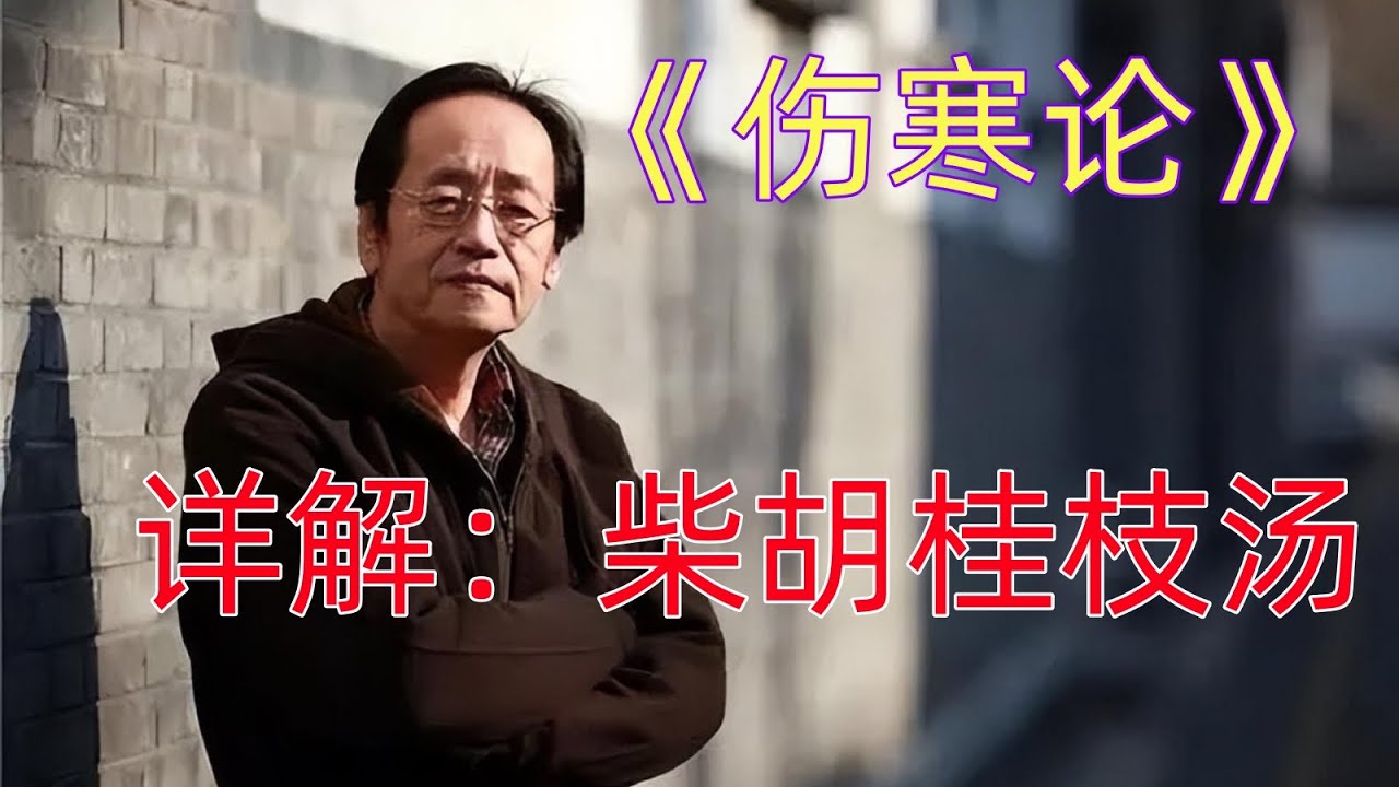 56柴胡桂枝汤——倪海厦详解《伤寒论》太阳篇 - YouTube