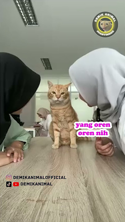 CUCING SALTING #shorts