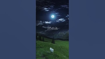 | سورة الفرقان |"26-29" #quran #قران #قرانكريم