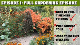 видео: Мой первый ПОЛНЫЙ ЭПИЗОД о садоводстве. Вакансии в сфере садоводства в ноябре. ОНЛАЙН-ЧАТ. картинка: Мой первый ПОЛНЫЙ ЭПИЗОД о садоводстве. Вакансии в сфере садоводства в ноябре. ОНЛАЙН-ЧАТ.