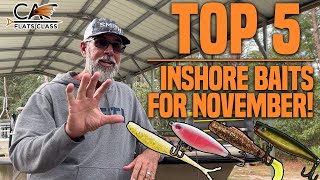 Top 5 Inshore Baits for November!