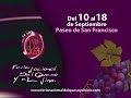 feria nacional del queso y del vino 2011 .avi