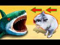 🐹🦈Giant Shark Hamster Obstacle Course  Maze with Traps 😱 + Snake