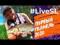 Прогулка по малой реке. Поклевки в сильнейшей струе. Ультралайт. #LiveSL