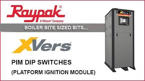 Raypak® Boiler Bite-Sized Bits XVers PIM Dip Switch Settings - Training Video