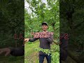 もう限界です #農業 #農家 #さくらんぼ #山形