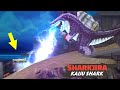 Hungry Shark GIANT MONSTER - SHARKJIRA (kaiju shark)