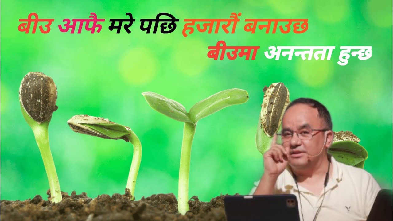 बीउ आफै मरे पछि हजारौं बढाउँछ Christian Sermon By Solomon Rai 2025 @Narmaya_limbu