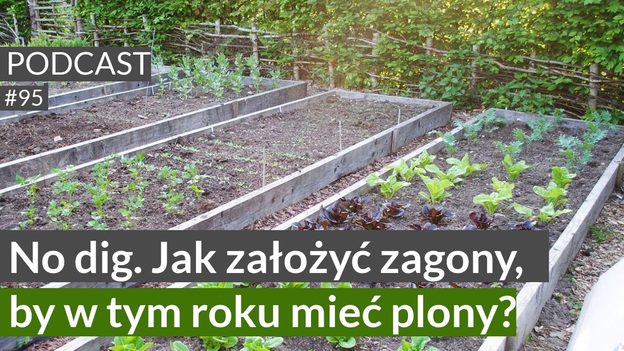 NoO 95. No dig. Jak założyć zagony, by w tym roku mieć plony? Podcast. Naturalnie o ogrodach