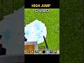 HIGH JUMP #viral #minecraft