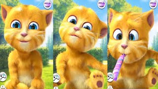 my taking ginger 🐈‍⬛🐈🐈‍⬛🐈🙀😹😽😼😻😸😾😺🐈‍⬛🐈🐈‍⬛🐈 funny ginger #ginger #android #youtube