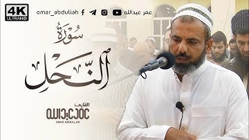 تلاوة جميلة تلاوة خيالية القارئ عمر عبدالله سلطان سورة النحل ماشاءالله تلاوة عجيب